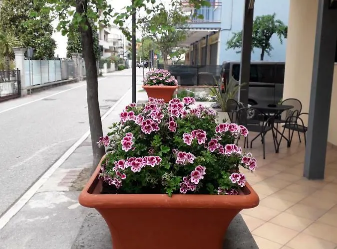 Sirena Hotel Bellaria-Igea Marina